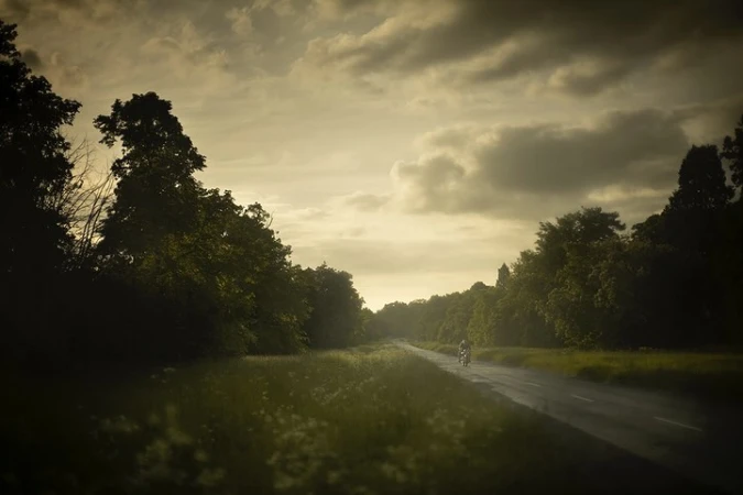Todd Hido
