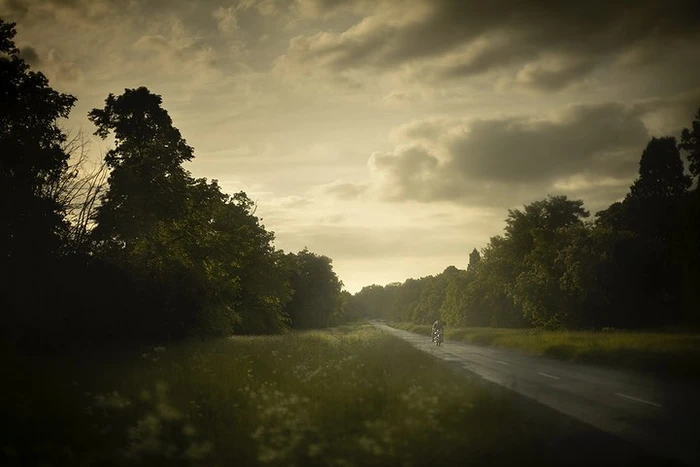 A lone cyclist rides along a quiet country road surrounded by dense trees under a moody overcast sky.