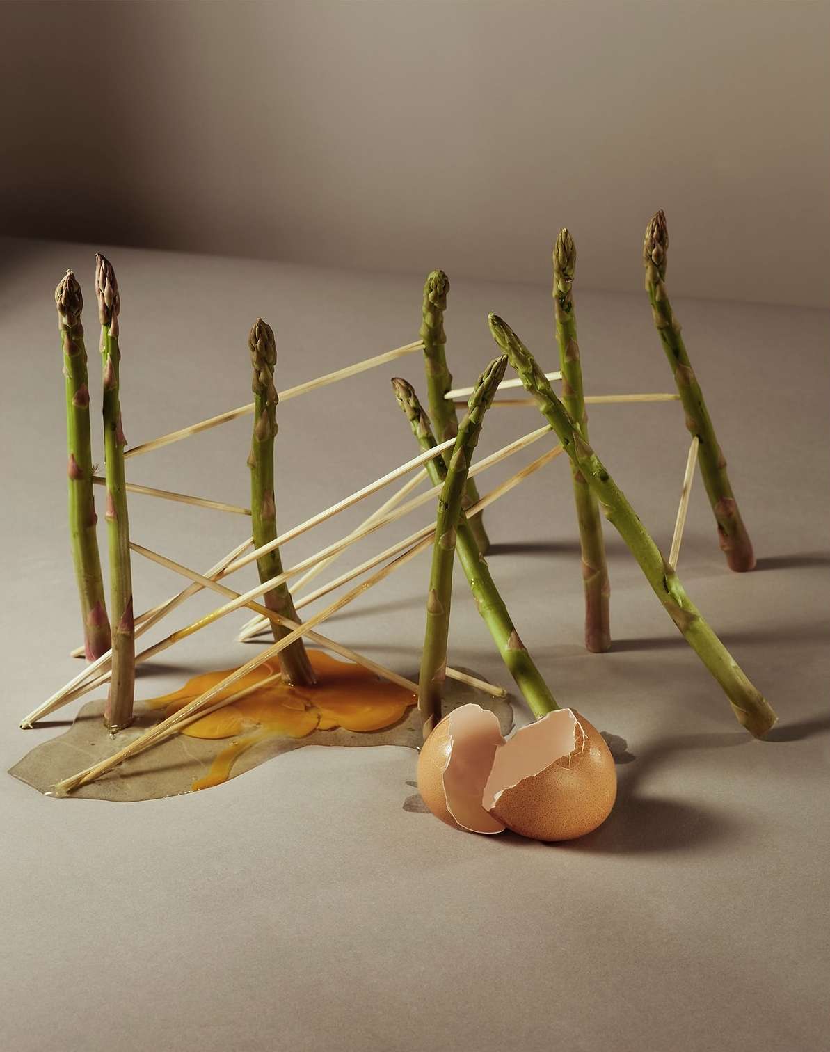 Still life of asparagus spears propped up by toothpicks, with an egg yolk and cracked shell on a gray surface, studio lighting.