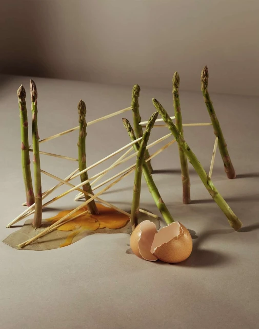 Still life of asparagus spears propped up by toothpicks, with an egg yolk and cracked shell on a gray surface, studio lighting.