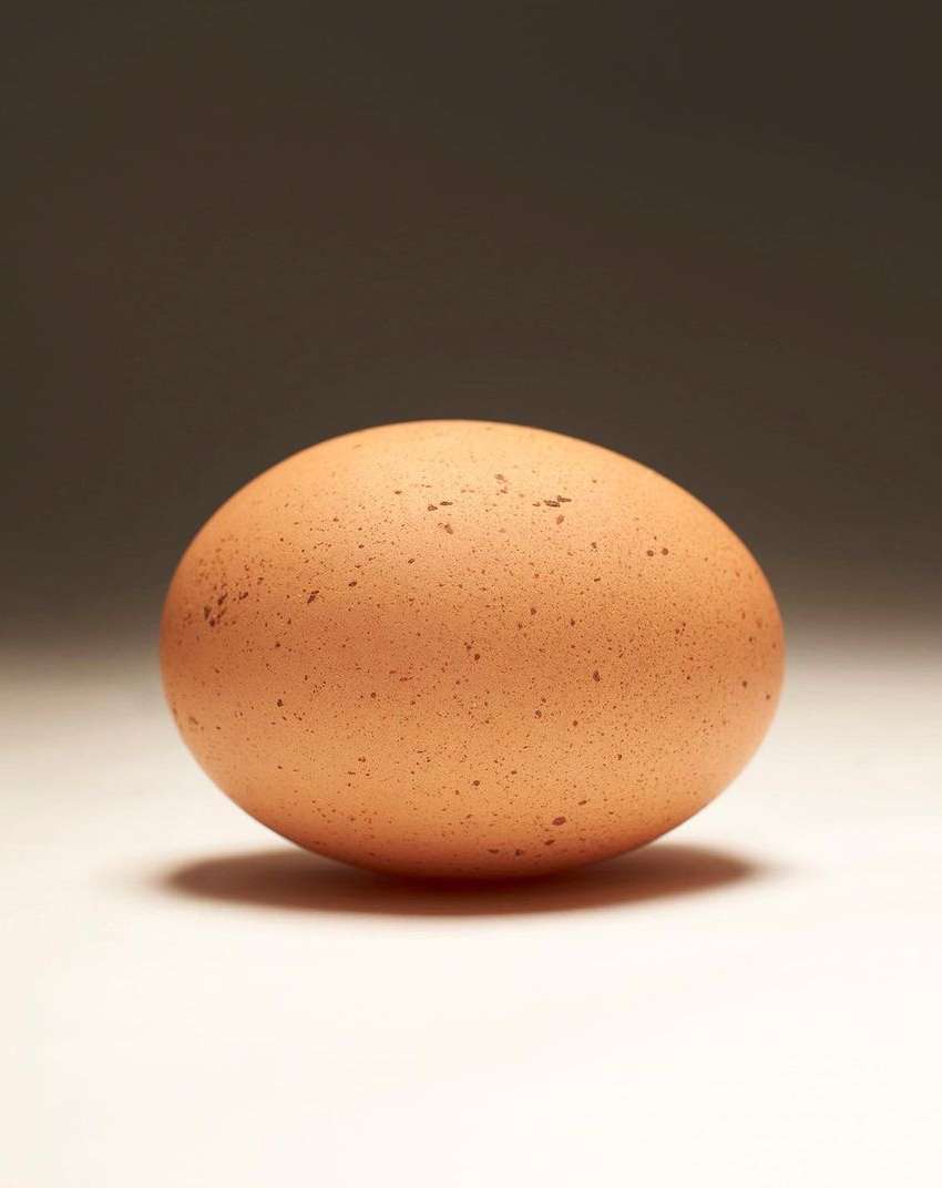 Single brown chicken egg on a light surface with a dark gradient background, illuminated by studio lighting, minimalist food photography.