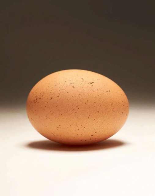 Single brown chicken egg on a light surface with a dark gradient background, illuminated by studio lighting, minimalist food photography.