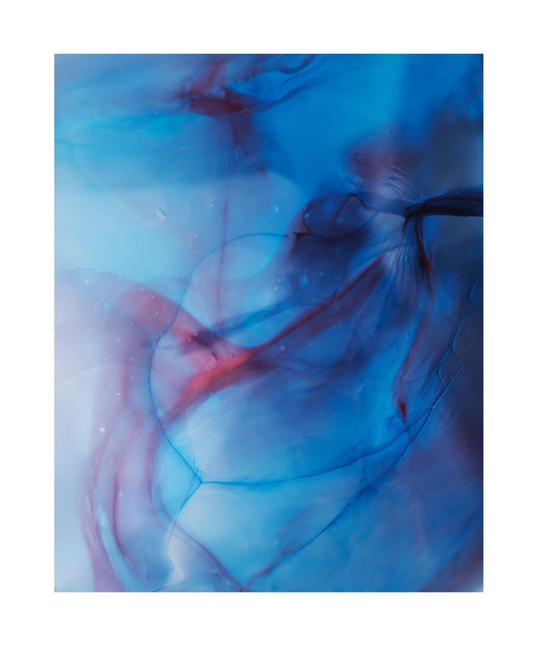 Abstract art image featuring blue and red ink patterns with swirling textures and organic shapes on a white background. 