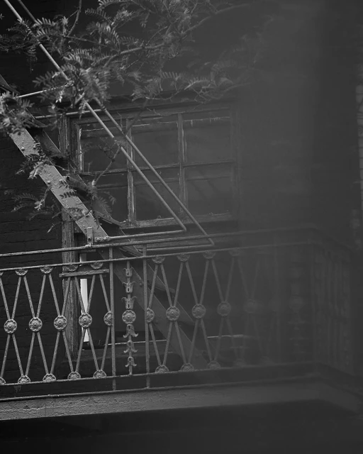 Black and white shot of an urban apartment exterior featuring a metal fire escape, window, decorative railing, and tree branches.