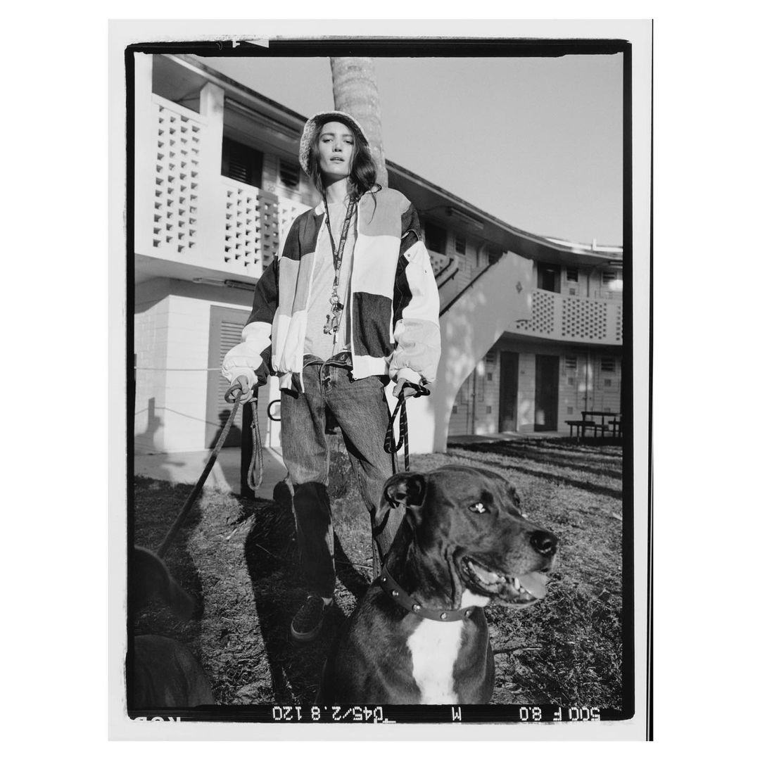 Woman walking dogs outdoors in monochromatic shot. Pit bull mix breed dog in the foreground, the woman holds two leashes.