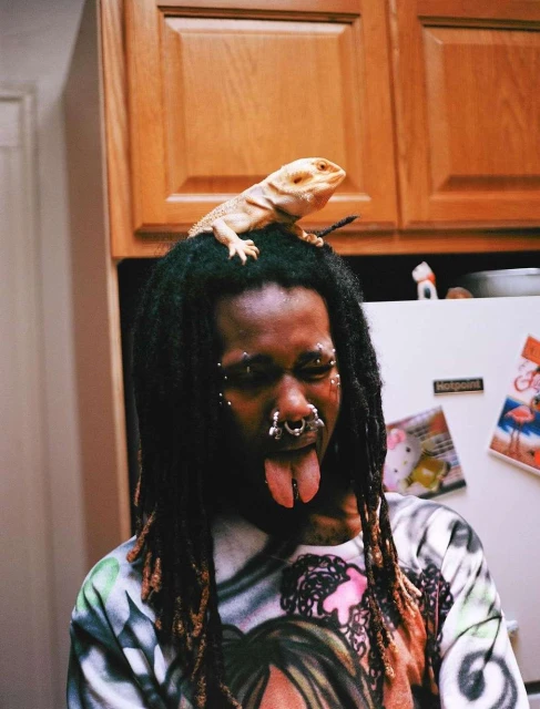 Adult male with piercings and tongue split posing indoors with pet bearded dragon lizard sitting on his head in kitchen.