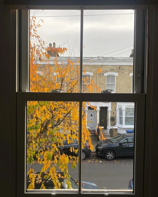 Window view of autumn tree with yellow leaves, suburban street with parked cars and houses in background on an overcast day.