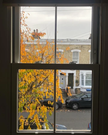 Window view of autumn tree with yellow leaves, suburban street with parked cars and houses in background on an overcast day.
