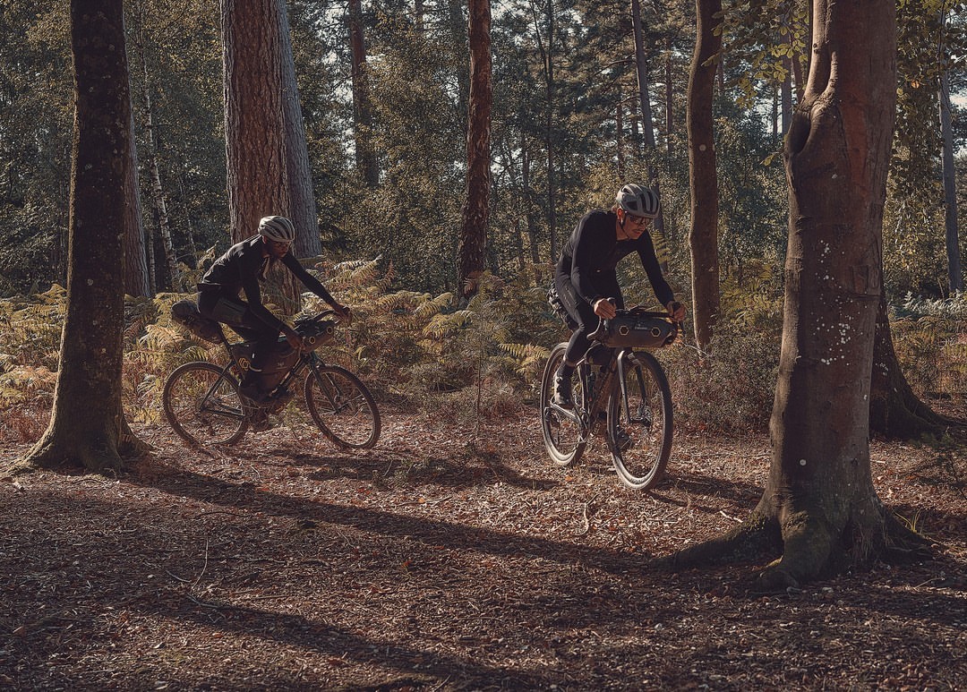 Two cyclists ride gravel bikes on a dirt path through a sunlit forest with tall trees and ferns in autumn; outdoor adventure and sport.