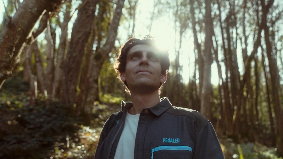 Adult male gazes upward in a sunlit forest wearing a grey collared shirt with brand logo, white t-shirt, green, and brown wooded area.