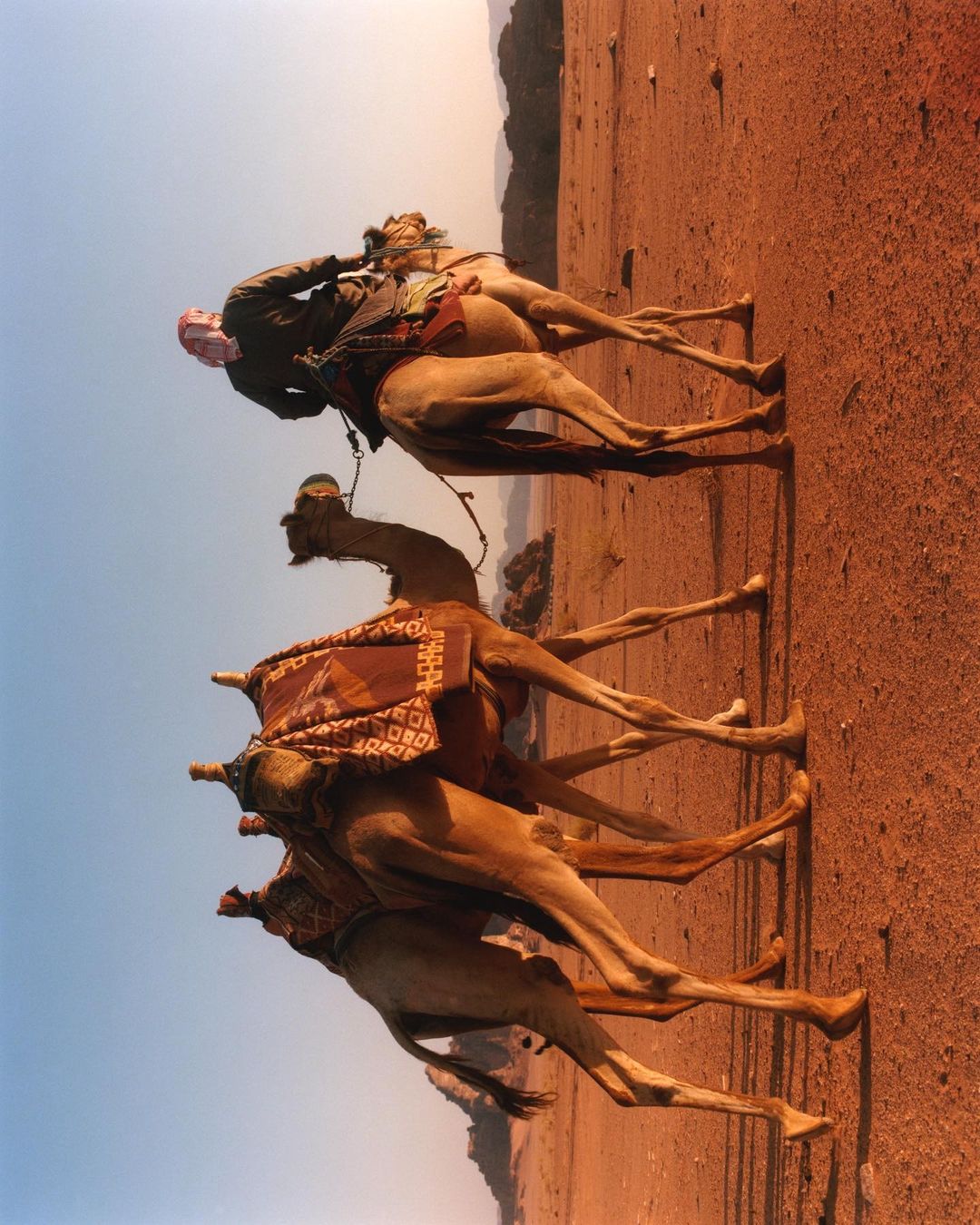 A man wearing a headscarf rides on top of a camel in a desert landscape, under a bright sky, with mountains visible in the background.