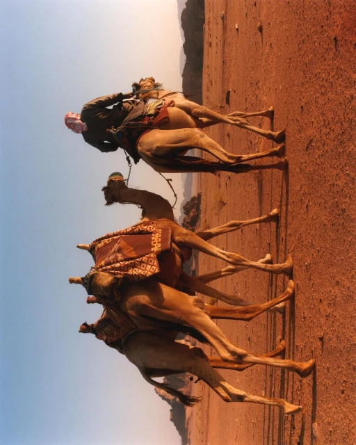 A man wearing a headscarf rides on top of a camel in a desert landscape, under a bright sky, with mountains visible in the background.