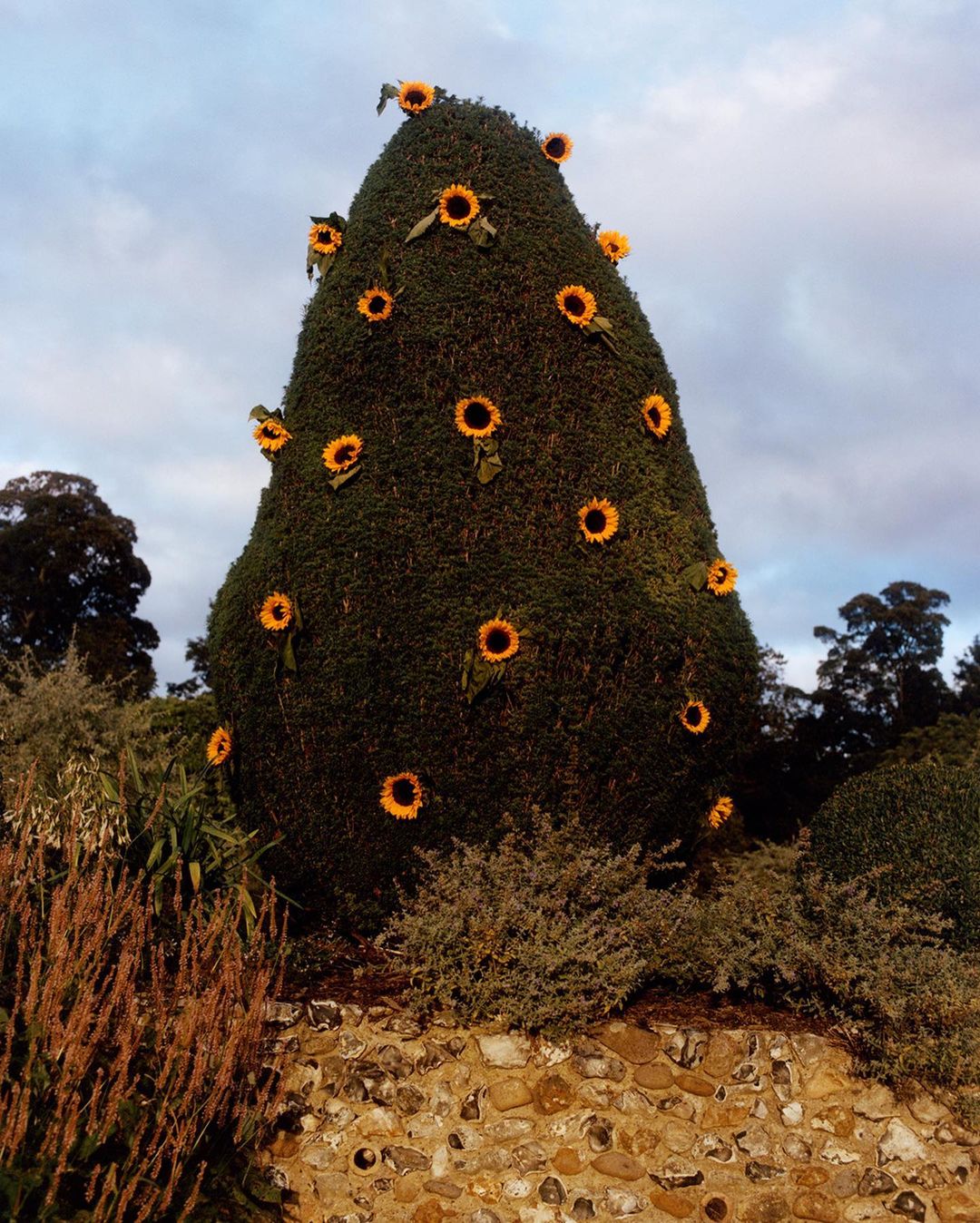 Outdoor view of a topiary shaped like a Christmas tree decorated with sunflowers, set in a garden against a blue and cloudy sky.