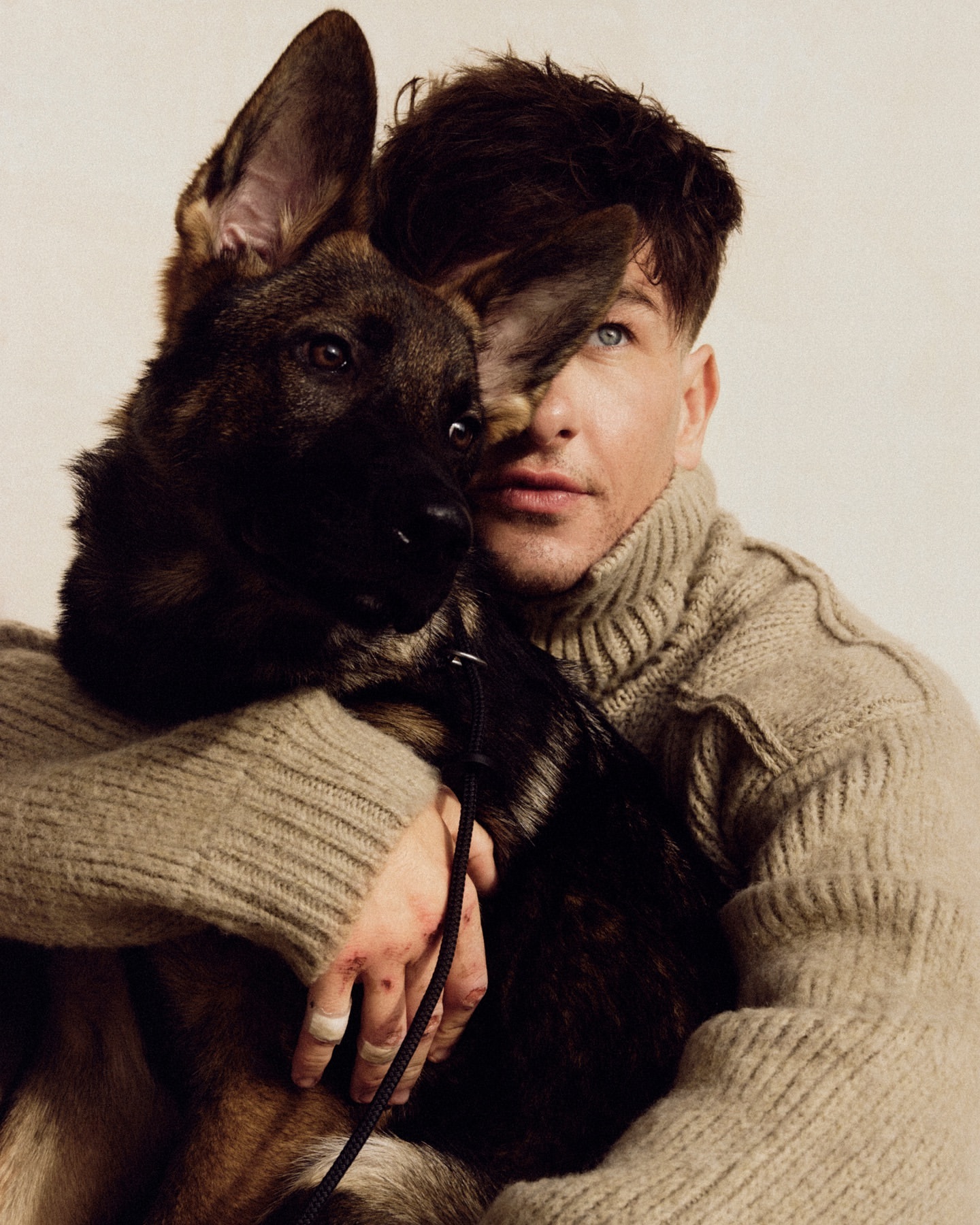Man in sweater embraces a German Shepherd dog indoors. Portrait shot with neutral color palette. Head and shoulder shot.