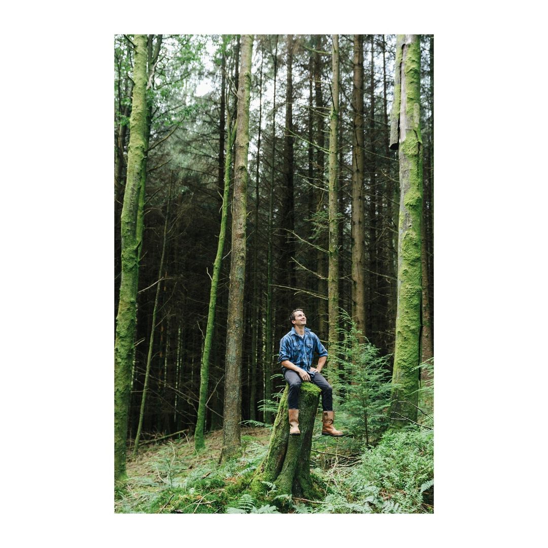 Man sitting on a tree stump in a forest wearing a blue plaid shirt and brown boots looking up, with a dense background of tall trees.