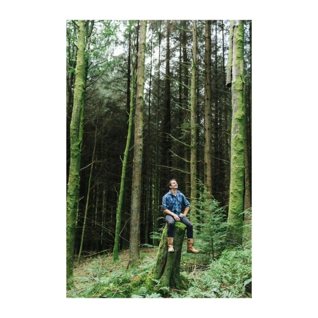 Man sitting on a tree stump in a forest wearing a blue plaid shirt and brown boots looking up, with a dense background of tall trees.