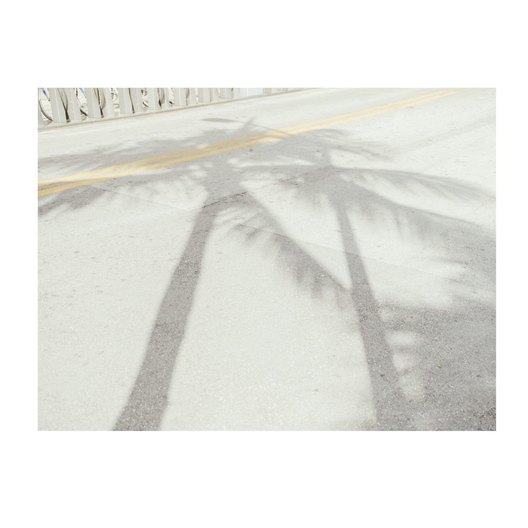 Palm tree shadows stretch across a concrete road with a yellow line, creating a minimalist and sunny urban landscape.