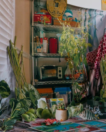 Still life of household objects and plants on a patterned tablecloth, with a wire shelf holding kitchen items in the background.