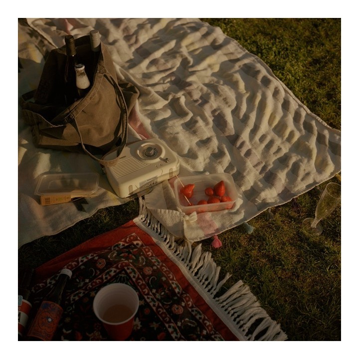 Outdoor picnic setup on a lawn featuring a picnic blanket, beverages, a vintage radio, and strawberries, with warm lighting and a cozy feel.