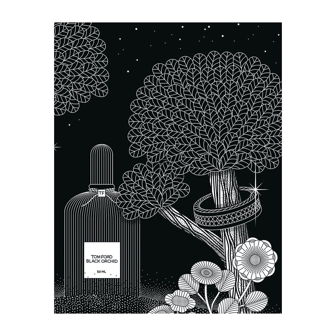 Stylized illustration of Tom Ford Black Orchid perfume bottle with line art of a tree, flowers, and stars on a black background.