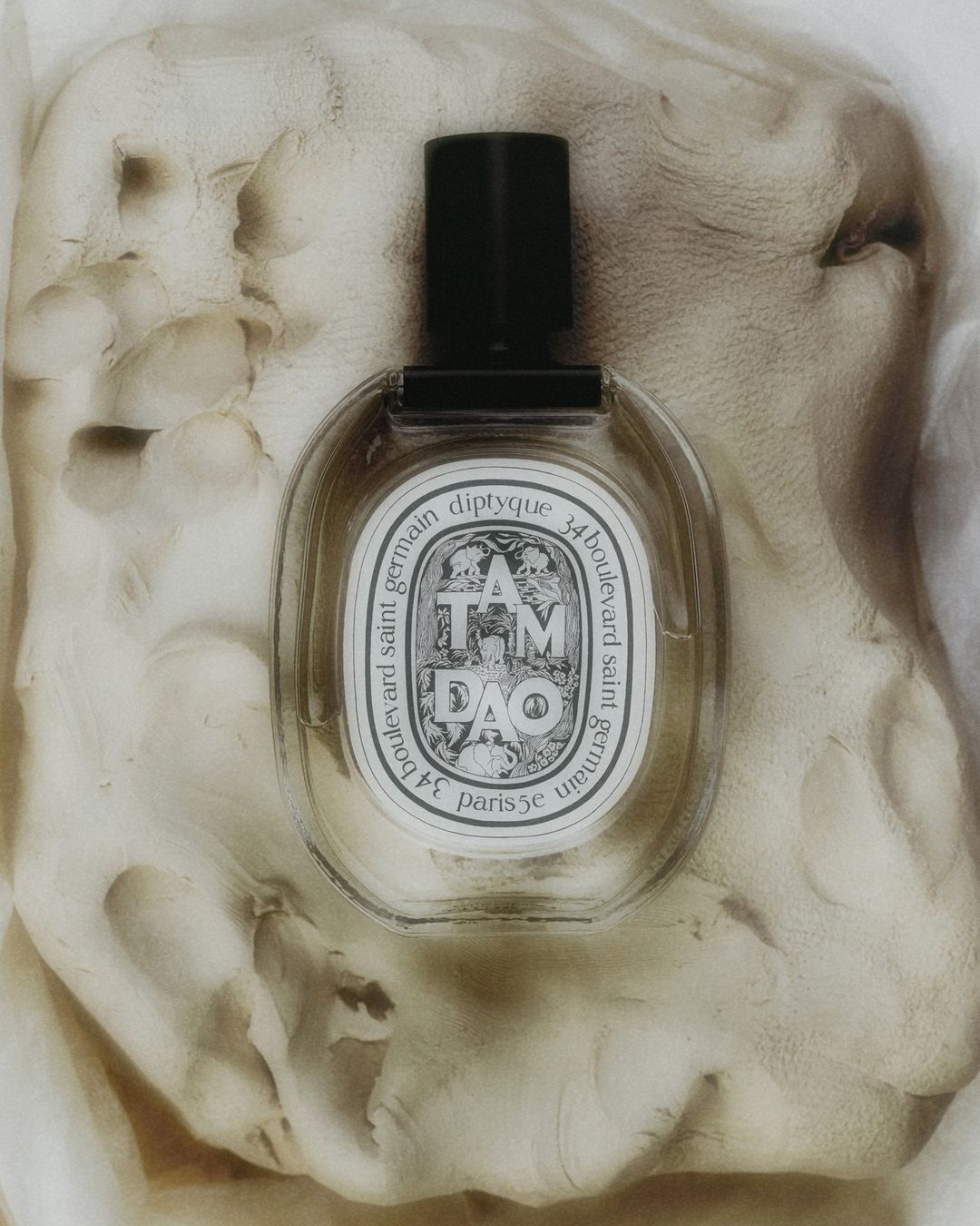 Elegant close-up of Diptyque TAM DAO perfume bottle showcasing minimalistic design against a textured backdrop, highlighting the fragrance.