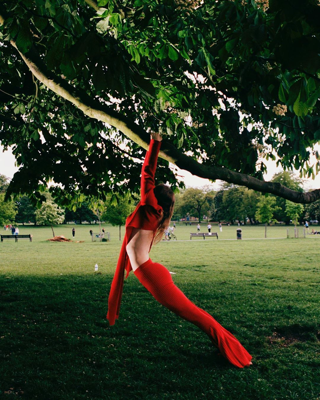A slender person in a red outfit hangs from a tree branch in a grassy park under the leafy canopy, showcasing a unique outdoor lifestyle.
