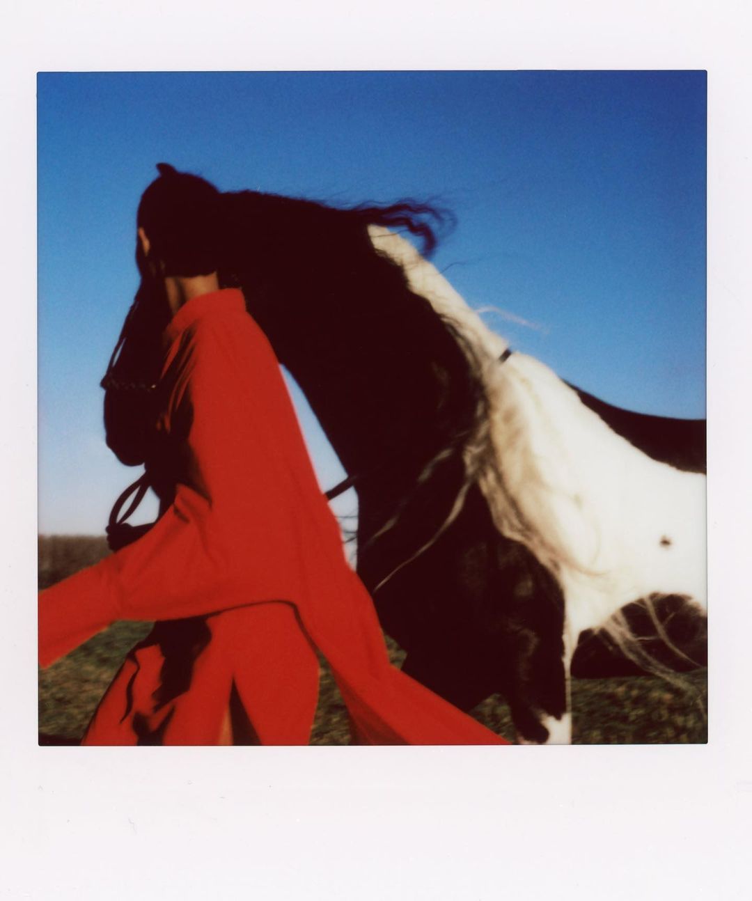Black and white horse stands outdoors in a field near a person in a red robe under a blue sky during the daytime.