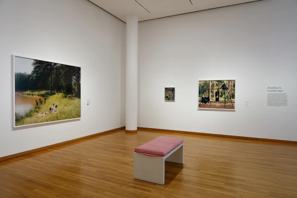 Art gallery view with paintings of outdoor scenes on the walls, a white bench, and a hardwood floor in a well-lit space.