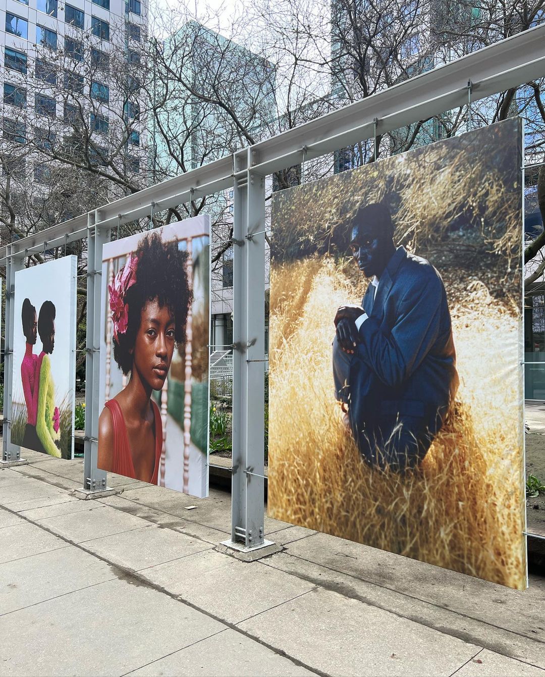 Outdoor art installation in a park features three large portrait photographs displayed on metal frames along a sidewalk in natural light.