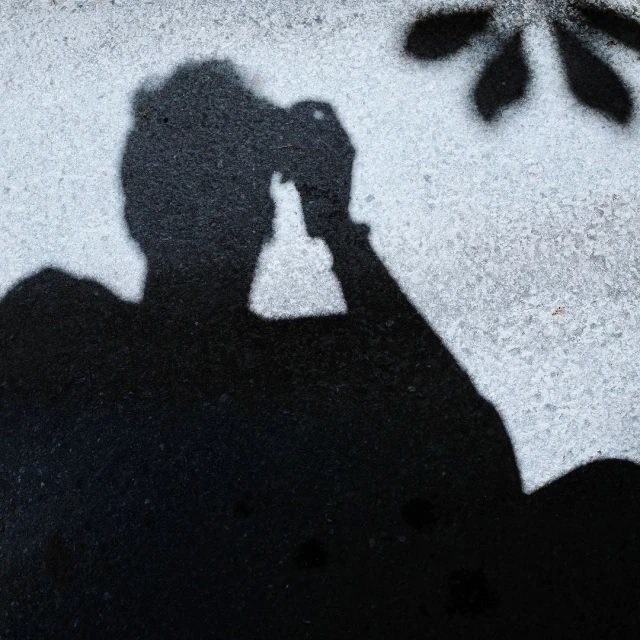 Shadow of a person holding a camera up to take a picture, with a shadow of leaves in the background against a light surface.
