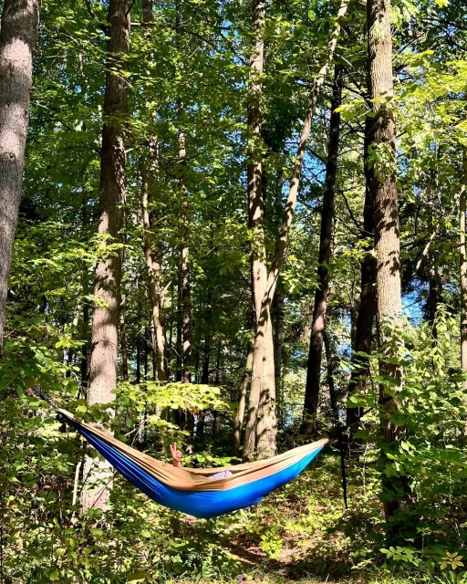 Adult relaxing in a blue and brown hammock hung between trees in a lush green forest setting under a sunny sky with green foliage.