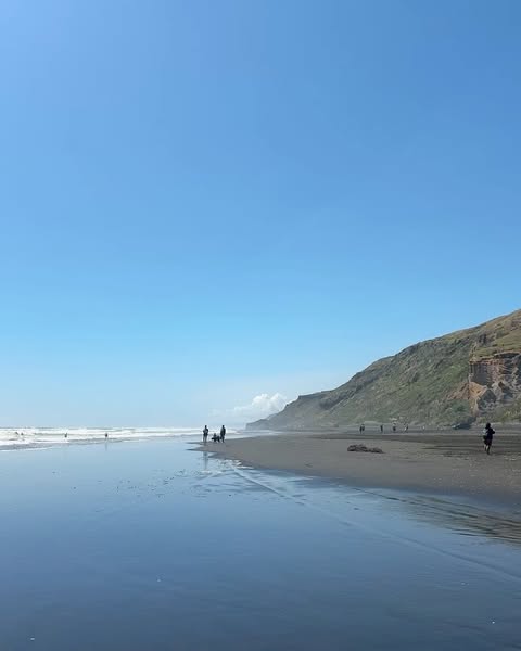 Coastal scene with people on a dark-sand beach. Ocean meets a clear blue sky, with a grass-covered hillside in the background.