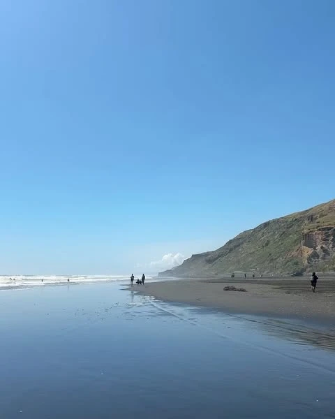 Coastal scene with people on a dark-sand beach. Ocean meets a clear blue sky, with a grass-covered hillside in the background.