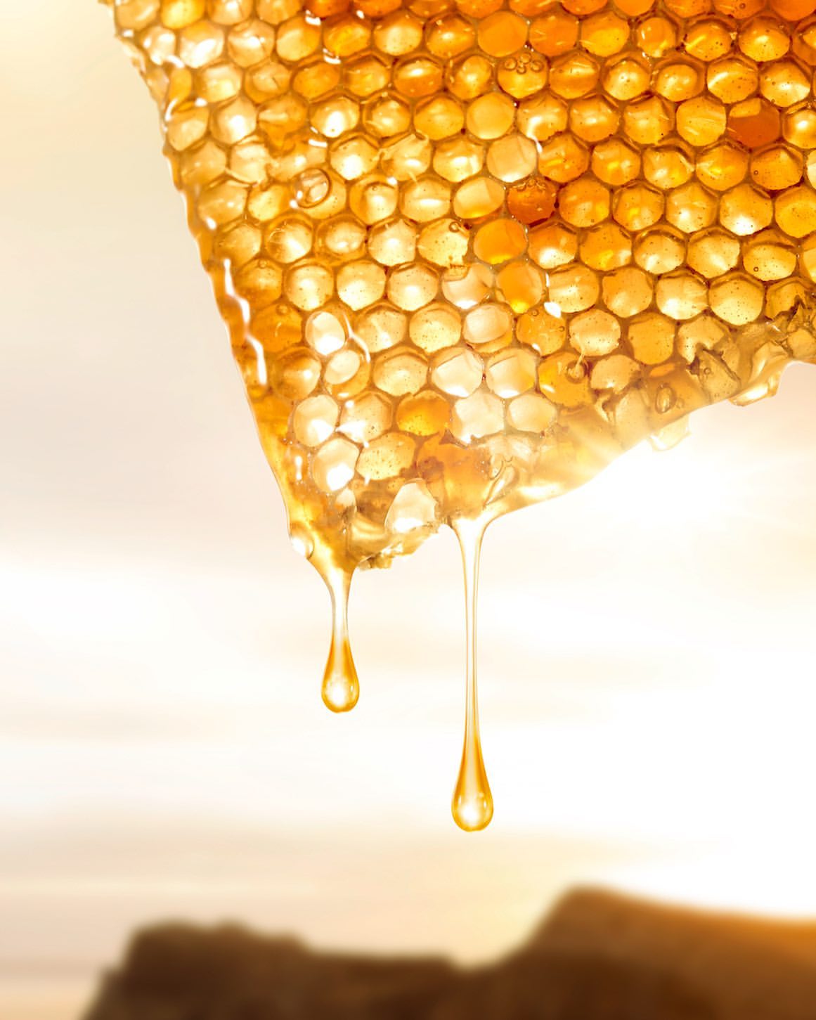 Close-up photo of dripping honeycomb in bright sunlight. Golden honey streams down with a soft-focus landscape background. Sweet food concept.