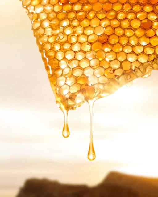 Close-up photo of dripping honeycomb in bright sunlight. Golden honey streams down with a soft-focus landscape background. Sweet food concept.