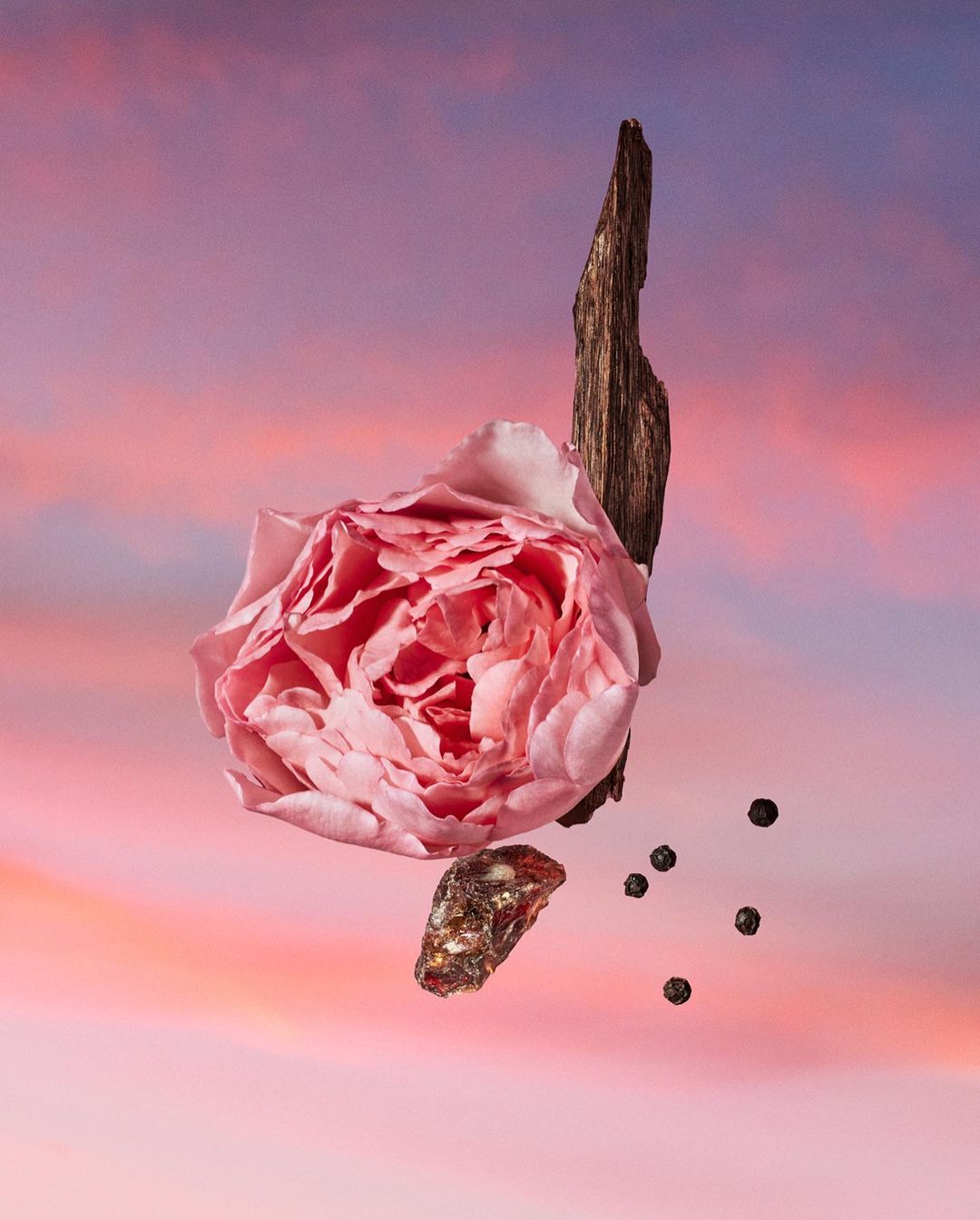 Macro still life of a pink rose, small black peppercorns, amber stone, and a rough wooden stick levitating in front of a peach-colored sky.