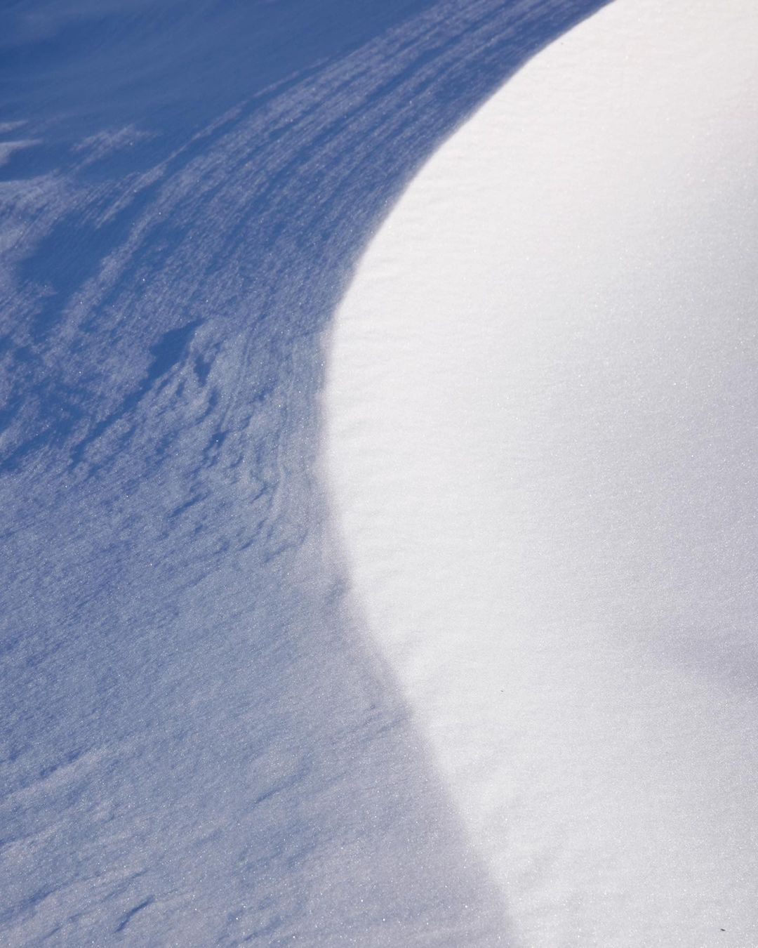 Monochromatic close-up of a snowdrift showcasing subtle textures and shadows, creating a serene and minimalist winter landscape.