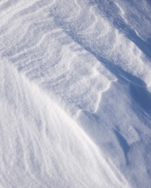 Undulating white snow drifts blanket the ground, creating soft shadows in the bright sunlight, evoking a serene winter landscape.