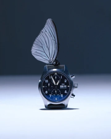 Elegant IWC Pilot's Watch with a delicate white butterfly perched on top, creating a striking juxtaposition against a gradient backdrop.