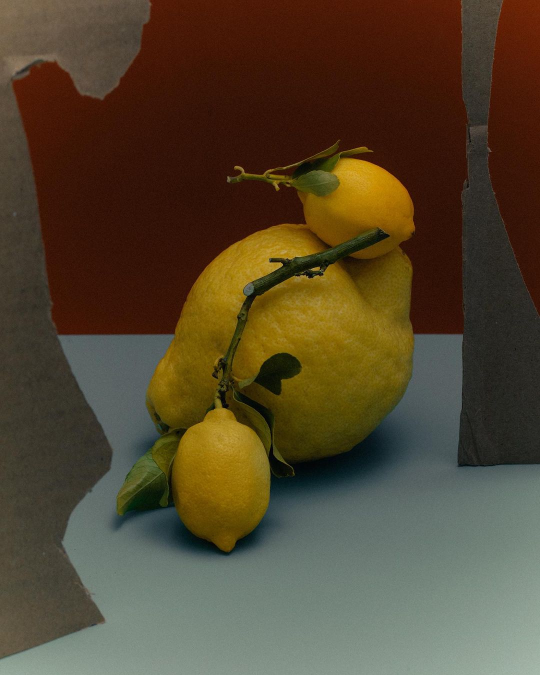 Still life studio shot of a large lemon with smaller lemons on a light blue surface against a brown background with gray paper props.