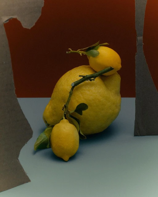 Still life studio shot of a large lemon with smaller lemons on a light blue surface against a brown background with gray paper props.