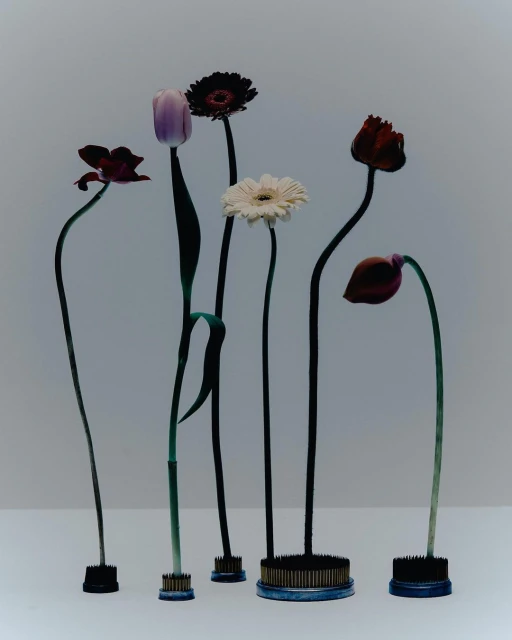 Still life of assorted cut flowers including gerbera daisies and tulips displayed in kenzan floral frogs on a white surface and gray background.