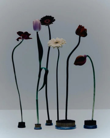 Still life of assorted cut flowers including gerbera daisies and tulips displayed in kenzan floral frogs on a white surface and gray background.
