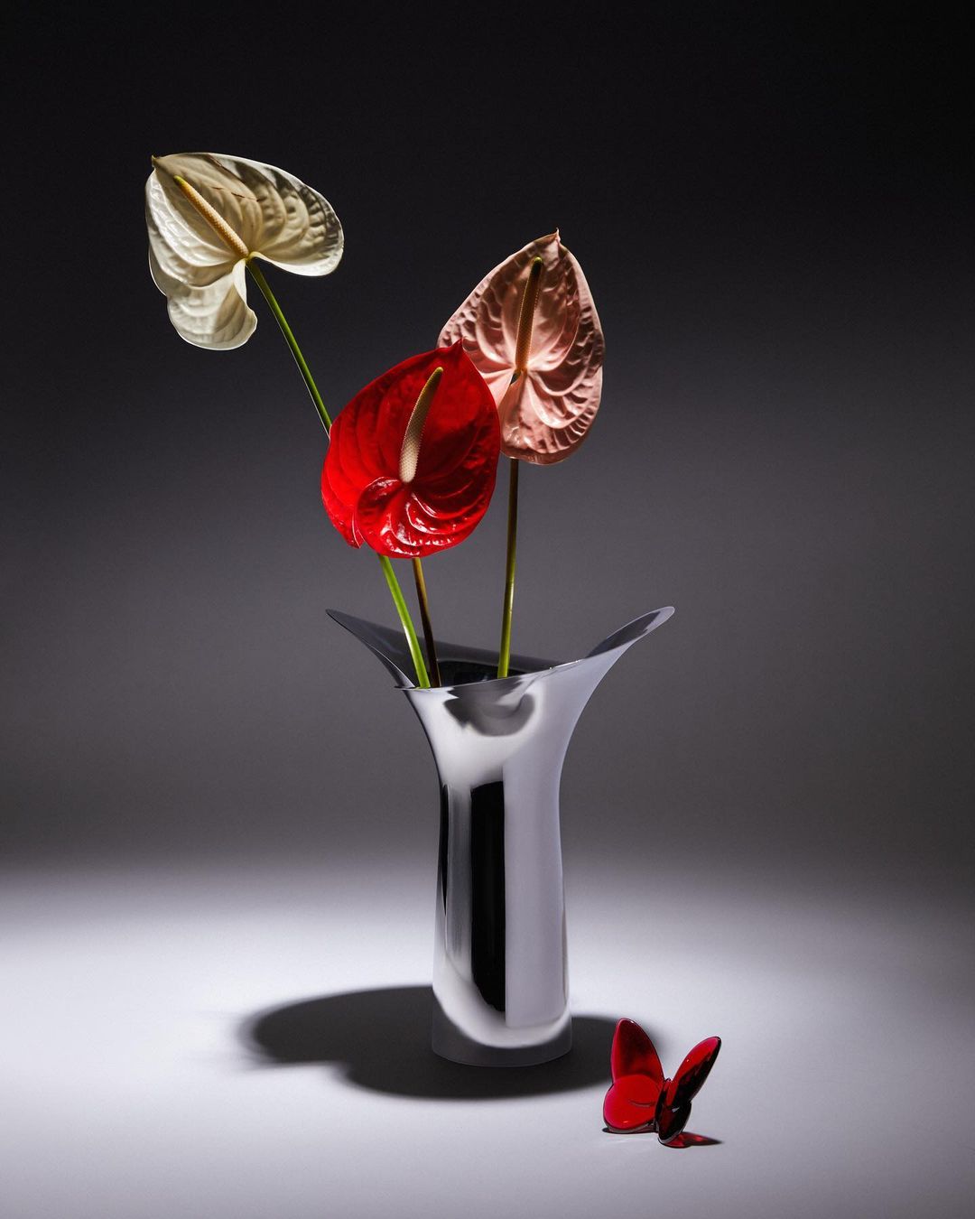 Floral arrangement with red, white, and pink anthurium flowers in a tall silver vase, set against a soft grey gradient background.