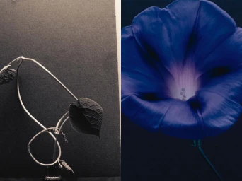 Diptyque showcasing a slender monochrome plant stem on the left and a vibrant close-up blue flower on the right.