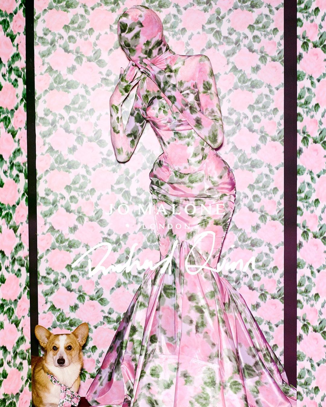 Person in floral gown with matching mask alongside Corgi dog wearing floral collar, Jo Malone Richard Quinn campaign on flower wall.
