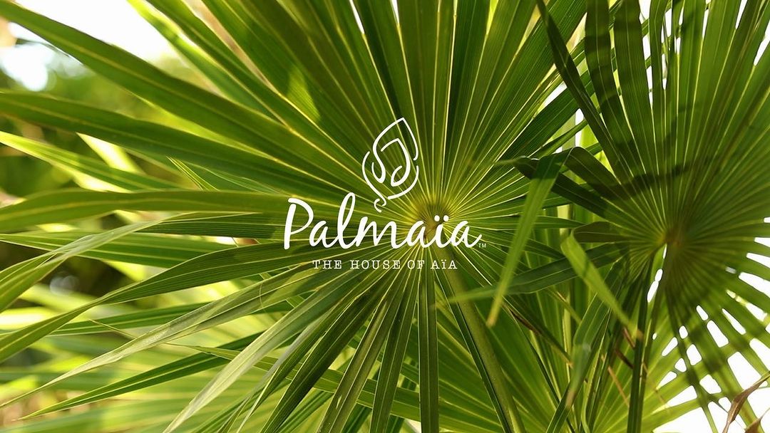 Close-up of palm fronds with a logo for Palmaia The House of Aia. Lush green foliage fills the frame with a blurred background.