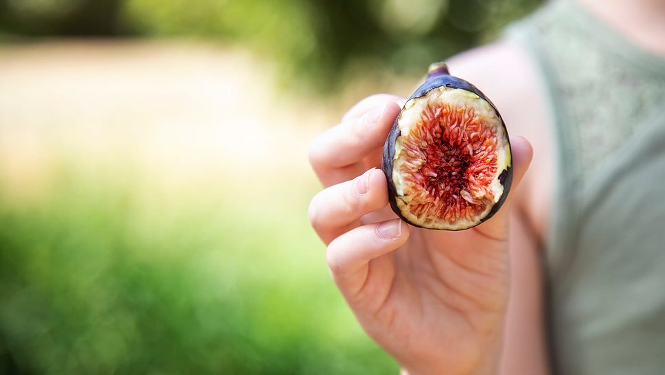 Fig held in hand, close-up view of the cut fruit, revealing red flesh and seeds, against a blurred green nature backdrop.