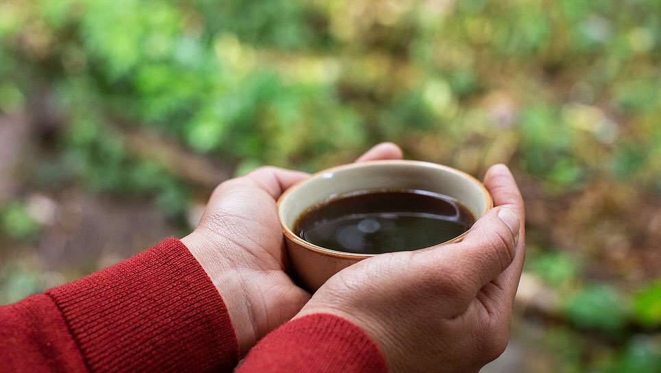 A close-up shot shows hands holding a cup of dark coffee against a blurred green background, highlighting the beverage and setting.