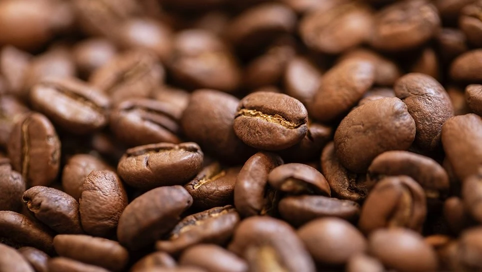 Close-up of coffee beans with a shallow depth of field showing various shades of brown. Food and beverage background.